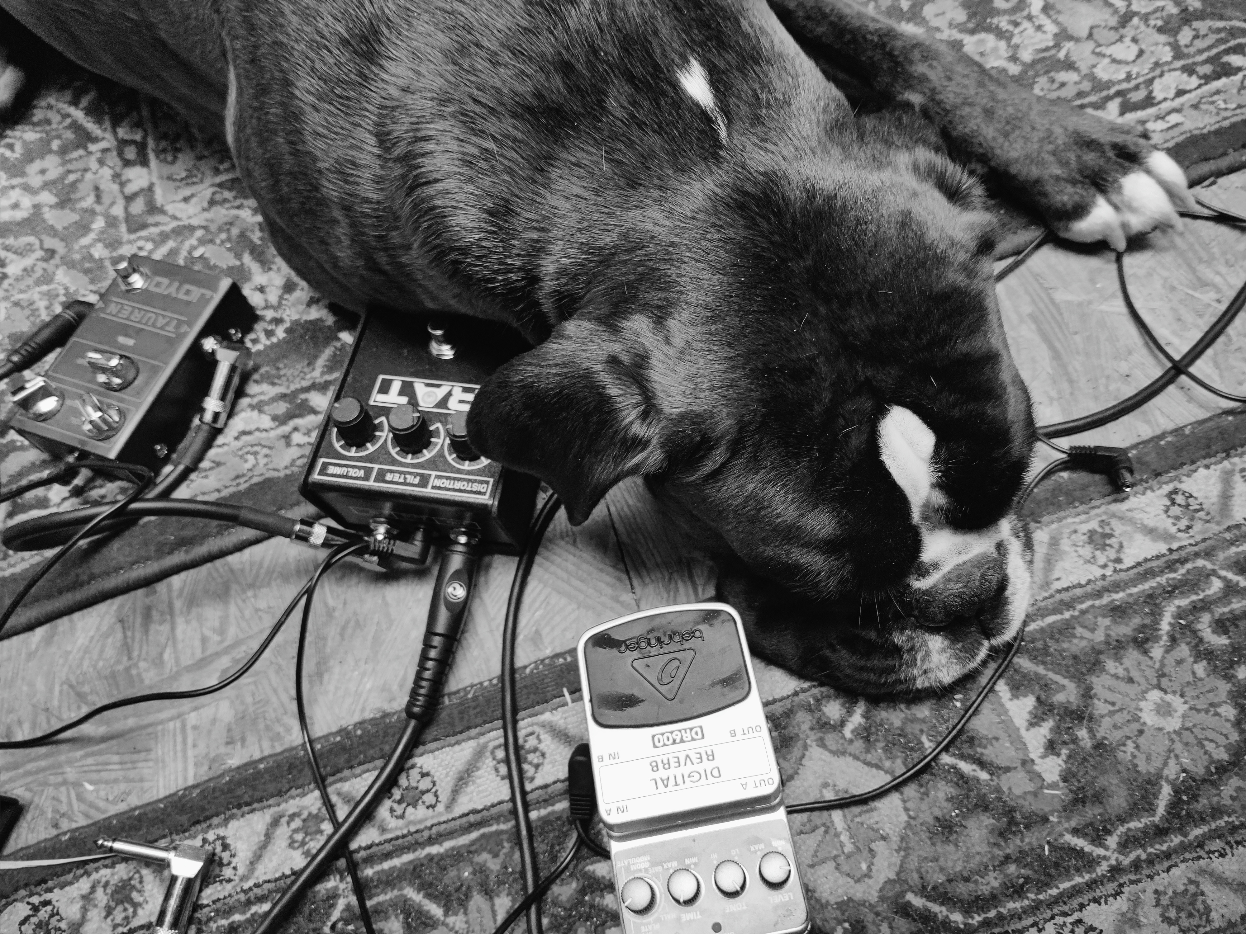 FIO — Pedals